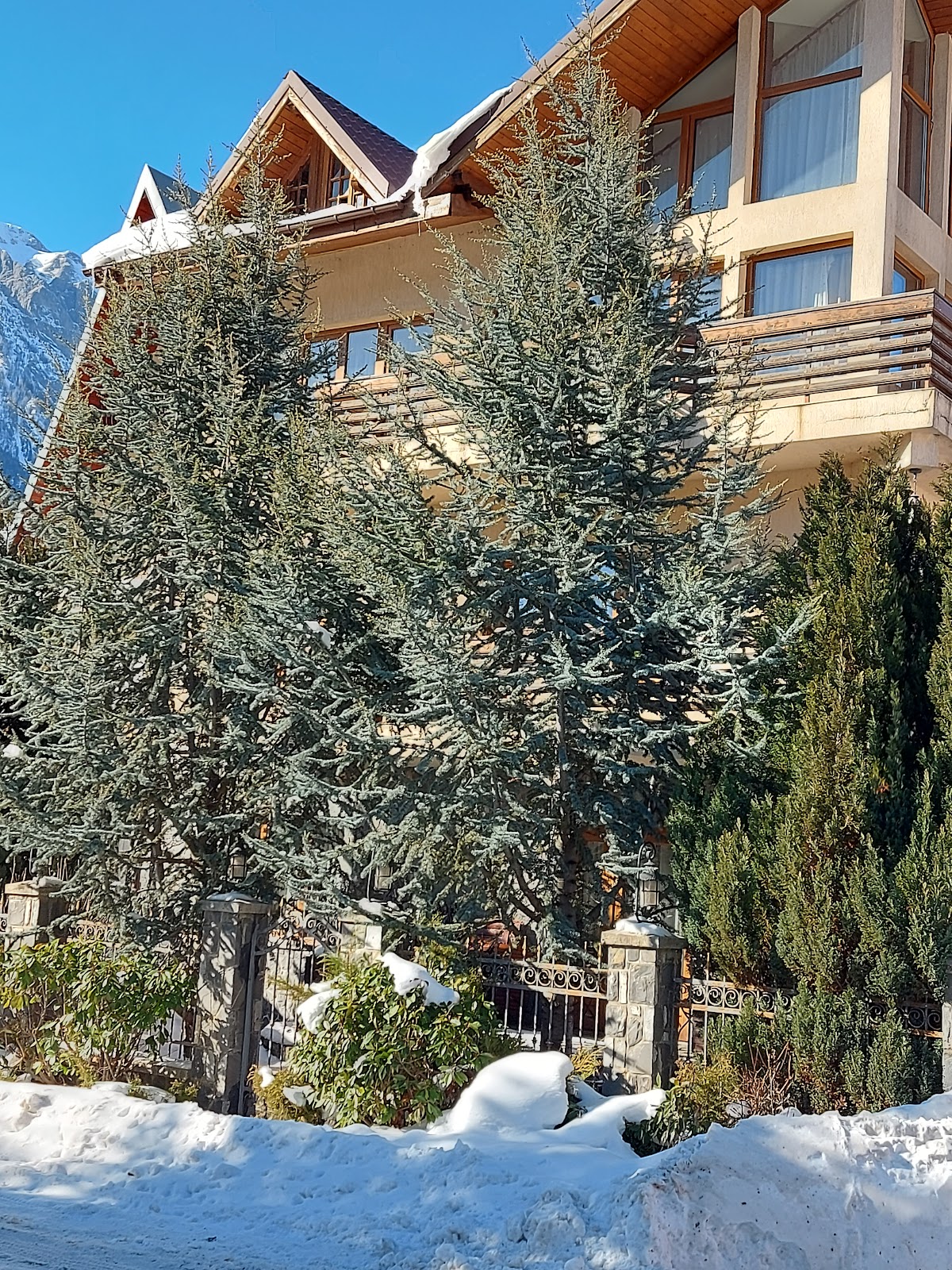 Foto 4